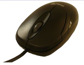 Myš